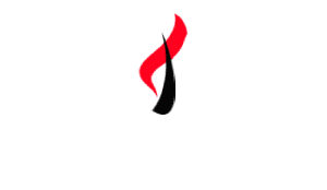 Sport Jarvis